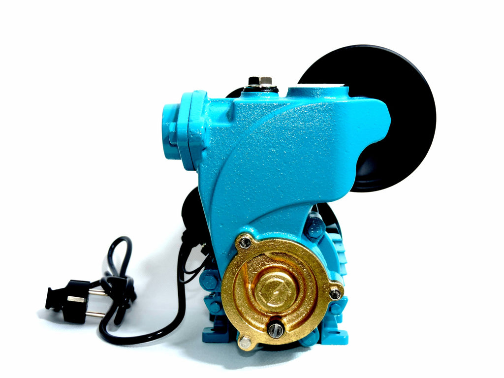 WZCH 250 2L ZESTAW HYDROFOROWY POMPA POWIERZCHNIOWA IBO WZI250 WZ250